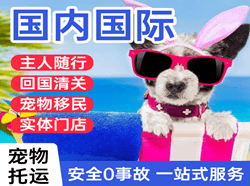 阳江合山机场空运国际宠物托运 【国